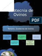 Zootecnia de Ovinos