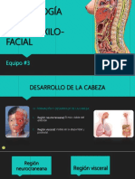 Embriologaespecialbucomaxilofacial5 170820233534