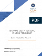 Informe Tambillos