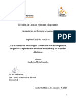 ReportePT Final PDF