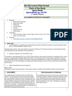 Lesson Plan 4 - Jigsaw Model