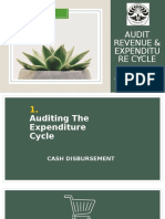 Audit Expenditure Cycle