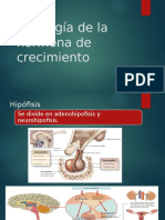 Fisiología de La Hormona de Crecimiento