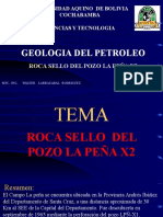 Roca Sello Pozo La Leña