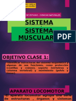 Sistema Esquelético y Muscular