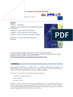 Cartas - Geologicas Ao Serviço Do Desenvolvimento PDF