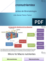 Clase Micronutrentes 2020.1