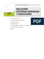 Nervioso Endocrino Adaptacion Curricular