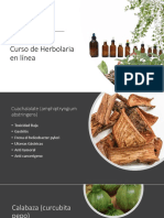 Curso de Herbolaria en Línea