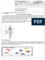 Guia #14 Sistema Circulatorio Humano Septimo 2020