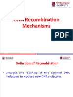 DNA Recombination 