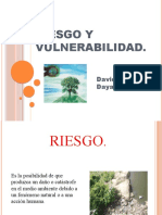 Riesgo y Vulnerabilidad Exposicion