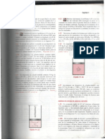 Termo PDF