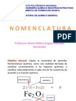 Presentacion Nomenclatura