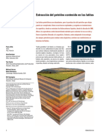 Schlumberger Lutitas Petrolicc81feras PDF