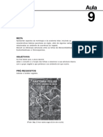 09041118082016morfologia e Anatomia Vegetal Aula 9 PDF