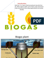 Biogas