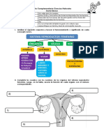 Semana 1 PDF