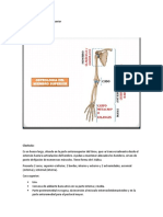 Osteología de Miembro Superior