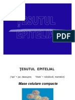 Curs 01 - 01 - Curs Tesut Epitelial1