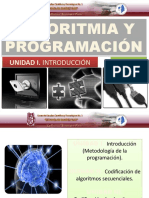 Ayp Ultimo