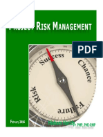 01 Project Risk Management PDF