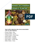 Ervas para Cada Chakra-1-1 PDF