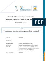 Mémoire BENTIFOUR Oumaima PDF