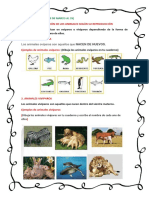 CLASE 1.pdf Ciencias