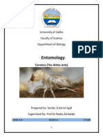 Entomology: University of Zakho Faculty of Science Department of Biology