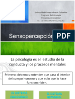 Clase de Sensopercepcion