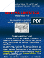 Sistema Linfático