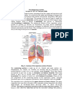 Histo - Respiratory System - Theory