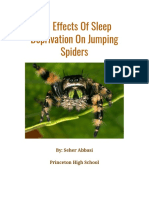 Jumping Spider Research Paper