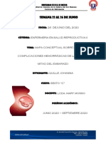 Mapas Conceptuales Sobre Complicaciones de La Primera Mitad Del Embarazo PDF