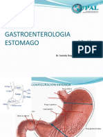 Estomag, Ga, Gc. Ulc. Pep. C 4