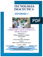 Informe 1