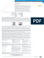 Useful Information On Positive Displacement Pumps: 3wise