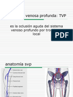 420-2014-03-27-13 Trombosis Venosa Profunda