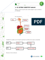 Articles-22973 Recurso Pauta PDF PDF