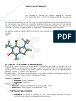 Quimica Del C e Hidrocarburos