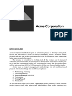 Kerzner's 2nd Ed. PM Acme Risk Case