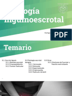 Patología Inguinoescrotal