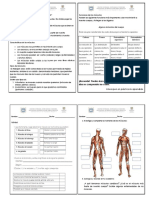 Naturales - Taller Sistema Muscular-Cuaderno