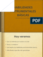 Habilidades Instrumentales Básicas