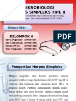 Kel 4 - Herpes Simpleks