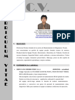 CV Luiscarrero PDF