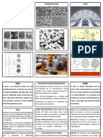 Monografia Ciencias or