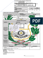 Ficha Actividad - 17