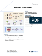 Single-Cell Transcriptomic Atlas of Primate Ovarian Aging: Resource